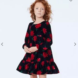 Janie and Jack Velvet Rose Dress